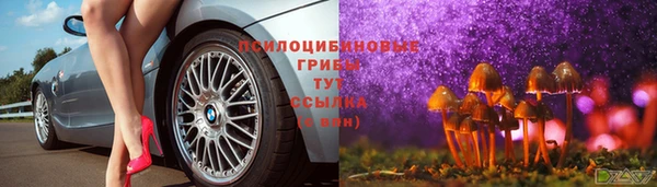 сатива Вязники