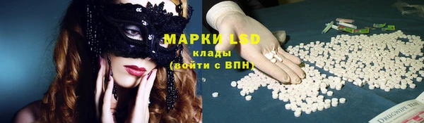 сатива Вязники