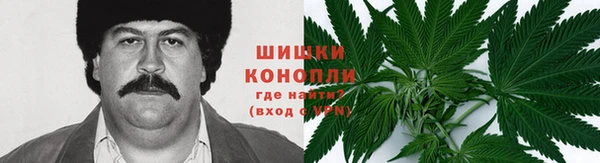 сатива Вязники