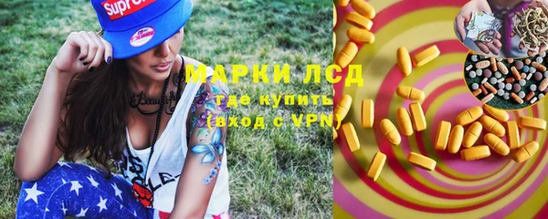 ECSTASY Вяземский