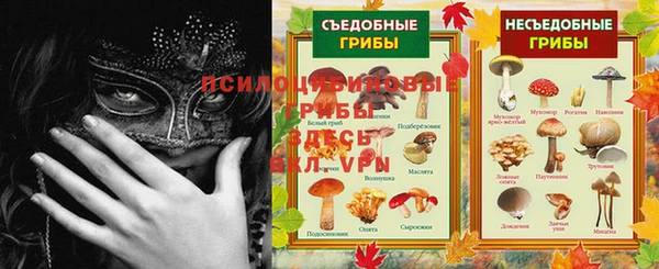 сатива Вязники