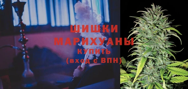 ECSTASY Вяземский