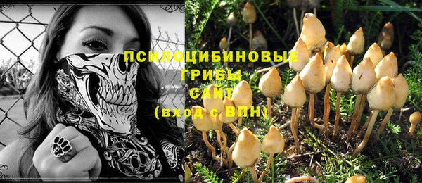 ECSTASY Вяземский