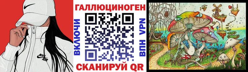 Галлюциногенные грибы MAGIC MUSHROOMS  Купить где  Подпорожье 