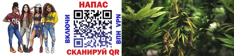 Купить закладки Подпорожье МАРИХУАНА VHQ